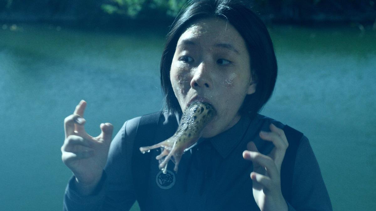 赛事分析深度解读 - 华体